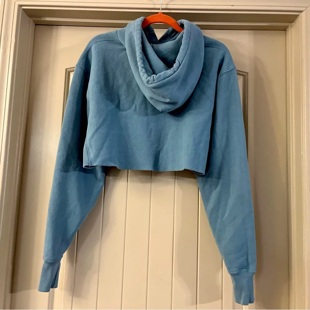 Authentic Champion Crop Top Hoodie - Picture 3 of 4